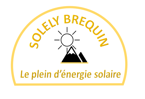 logo complet